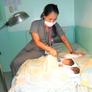 
 
 
 Nanny in Freeport, Freeport, The Bahamas looking for a job: 2407864
