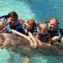 
 
 
 Au Pair in Woodinville, WA, United States looking for a job: 2552469