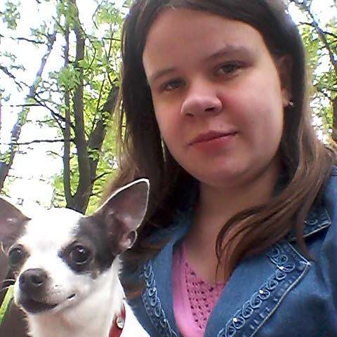 hi pet sitter au pair pet babysitter