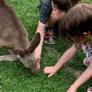 
 
 
 Au Pair in Roseville, New South Wales, Australia looking for a job: 2964586