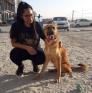 
 
 
 Pet Sitter in Roxas, Capiz, Philippines looking for a job: 3038682