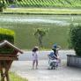 
 
 
 Nanny in Bernkastel-Kues, Rhineland-Palatinate, Germany looking for a job: 3272722