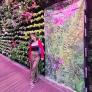 
 
 
 Nanny in Singapore, Singapore, Singapore looking for a job: 3362754
