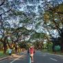 
 
 
 Nanny in Pag-Asa, Quezon City, Philippines looking for a job: 3371492