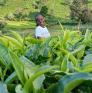 
 
 
 Personal Assistant in Nairobi, Nairobi Area, Kenya looking for a job: 3424825