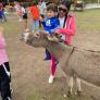 
 
 
 Au Pair in Medellin, Antioquia, Colombia looking for a job: 3448179