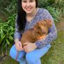
 
 
 Au Pair in Somerset West, Western Cape, South Africa looking for a job: 3545356