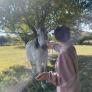 
 
 
 Pet Sitter in Johannesburg, Gauteng, South Africa looking for a job: 3546478