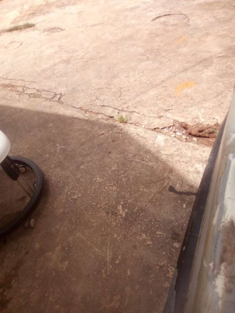 Housekeeper I dont have any experience but i can make a good effor