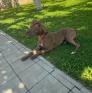 
 
 
 Housekeeper in Yerevan, Yerevan, Armenia looking for a job: 3590384