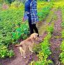 
Au Pair in Nairobi, Nairobi Area, Kenya looking for a job: 3614886