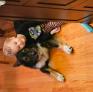 
 
 
 Nanny in Grand Junction, CO, United States looking for a job: 3625246