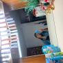 
Au Pair in Tulsa, OK, United States looking for a job: 3636167