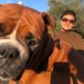 
Pet Sitter in Bucharest, Bucuresti, Romania looking for a job: 3657066