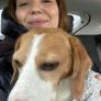 
Nanny in Gdansk, Pomorskie, Poland looking for a job: 3670327