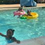 
 
 
 Au Pair in Cullman, AL, United States looking for a job: 3679782