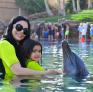 
 
 
 Nanny in Kousba, Liban-Nord, Lebanon looking for a job: 3685944