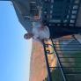 
 
 
 Housekeeper in Belgrad, undetermined, Serbia looking for a job: 3688454