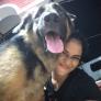 
Pet Sitter in Colombo, Western, Sri Lanka looking for a job: 3694457