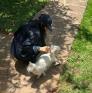 
 
 
 Au Pair in Sale, Rabat-Sale-Zemmour-Zaer, Morocco looking for a job: 3696290