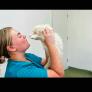 
Pet Sitter in Castleford, England, United Kingdom looking for a job: 3696905