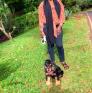 
 
 
 Nanny in Nairobi, Nairobi Area, Kenya looking for a job: 3705572