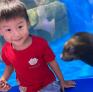 
 
 
 Au Pair in Shenzhen, Guangdong, China looking for a job: 3706064