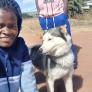 
 
 
 Au Pair in Bindura Town, Mashonaland Central, Zimbabwe looking for a job: 3710372