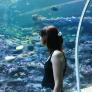 
 
 
 Nanny in Gaillard, Rhone-Alpes, France looking for a job: 3710460