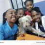 
 
 
 Au Pair in Nairobi, Nairobi Area, Kenya looking for a job: 3712308