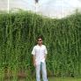 
 
 
 Au Pair in Bajitpur, Dhaka, Bangladesh looking for a job: 3713654