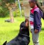 
 
 
 Pet Sitter in Kajiado, Rift Valley, Kenya looking for a job: 3716490