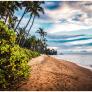 
 
 
 Housekeeper in Kihei, HI, United States looking for a job: 3717763