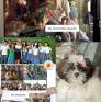 
 
 
 Au Pair in Toril, Davao del Sur, Philippines looking for a job: 3718045