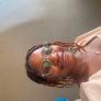 
 
 
 Au Pair in Bloemfontein, Free State, South Africa looking for a job: 3719709