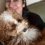 
 
 
 Pet Sitter in Imperial Beach, CA, United States looking for a job: 3721965