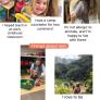 
 
 
 Au Pair in Naperville, IL, United States looking for a job: 3723758