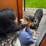 
 
 
 Au Pair in Lowell, MA, United States looking for a job: 3723978