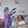 
 
 
 Senior Caregiver in President Manuel Roxas, Zamboanga del Norte, Philippines looking for a job: 3724070