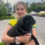 
 
 
 Babysitter in Montreal, Quebec, Canada looking for a job: 3726174