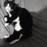 
 
 
 Pet Sitter in Ad Dawha, Ad Dawhah, Qatar looking for a job: 3735423