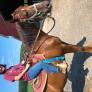 
 
 
 Nanny in Adak, Alaska, United States looking for a job: 3737642