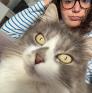 
 
 
 Au Pair in Bezons, Ile-de-France, France looking for a job: 3737849
