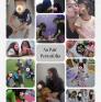 
 
 
 Au Pair in Bandung, West Java, Indonesia looking for a job: 3738021