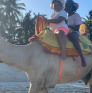 
 
 
 Au Pair in Nairobi, Nairobi Area, Kenya looking for a job: 3739759