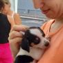 
 
 
 Babysitter in Pedreira, Sao Paulo, Brazil looking for a job: 3741421