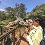 
 
 
 Au Pair in Nairobi, Nairobi Area, Kenya looking for a job: 3742565