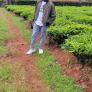
 
 
 Housekeeper in Nairobi, Nairobi Area, Kenya looking for a job: 3742721