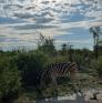 
 
 
 Pet Sitter in Windhoek, Khomas, Namibia looking for a job: 3744544