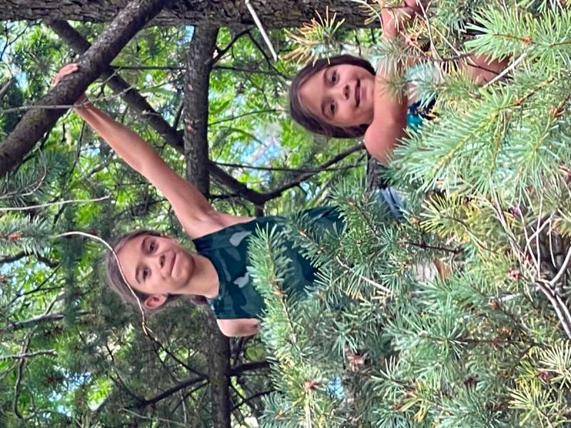 hi Housekeeper Job, Chico Nanny needed in Northern California